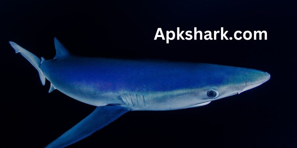 Apkshark.com