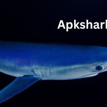 Apkshark.com