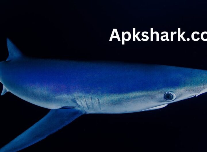 Apkshark.com